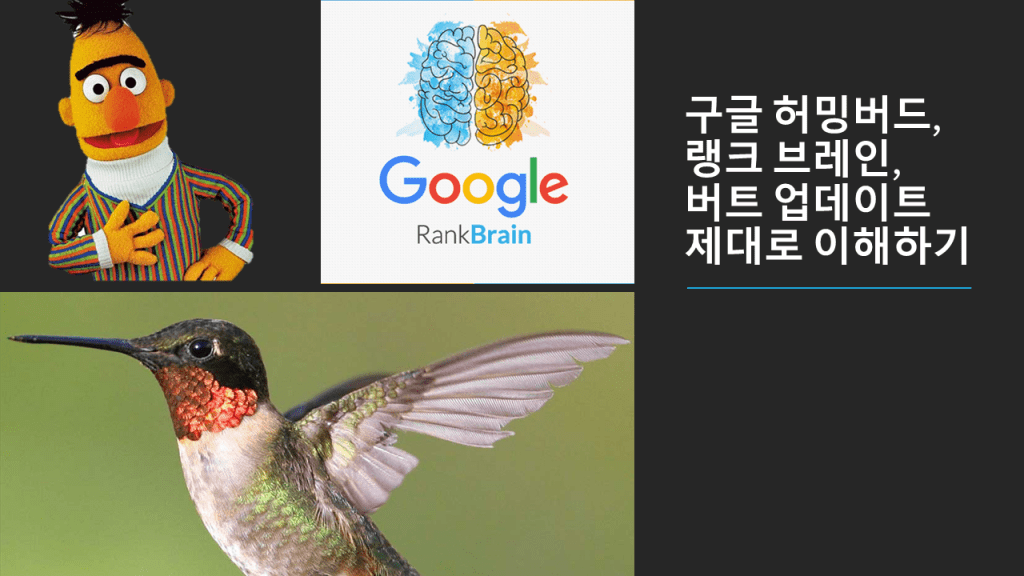 구글 허밍버드, 랭크 브레인,  버트 업데이트 제대로 이해하기