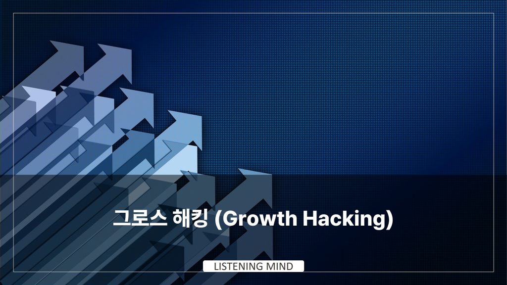 그로스 해킹 (Growth Hacking)
