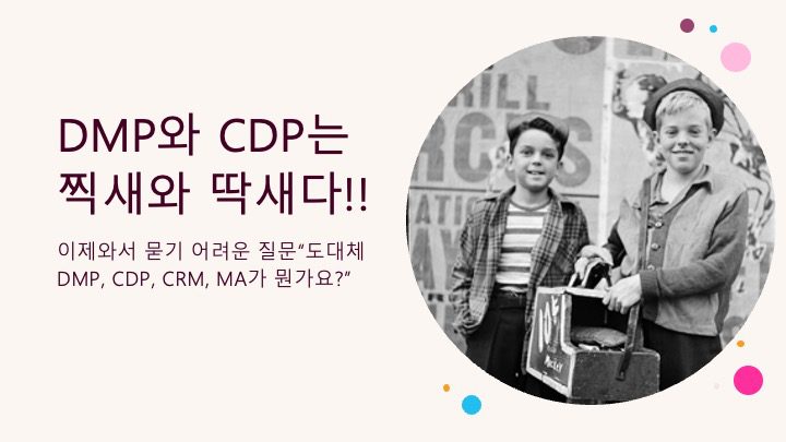 DMP와 CDP는 찍새와 딱새다!!