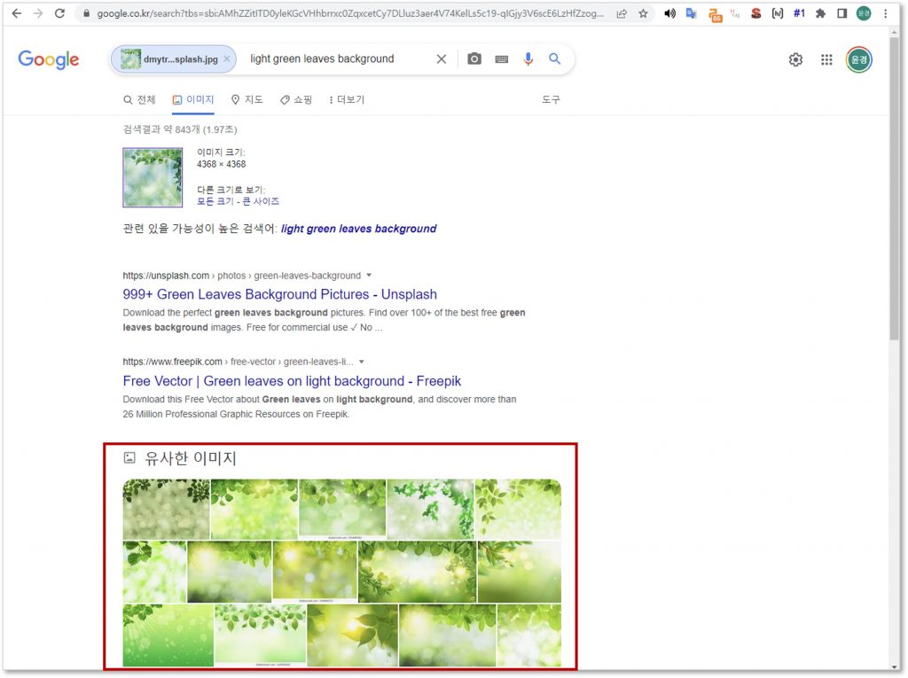 구글 렌즈 이미지 검색 결과 확인