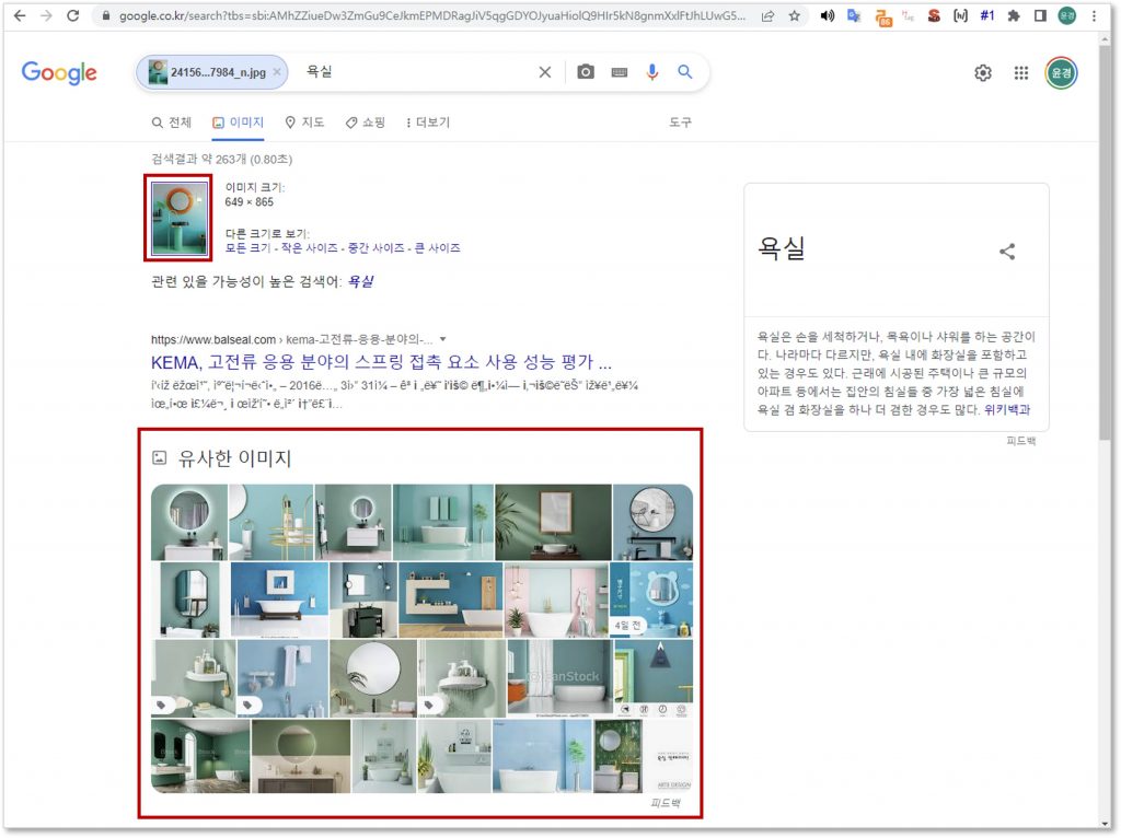 구글 이미지 검색 결과 확인 