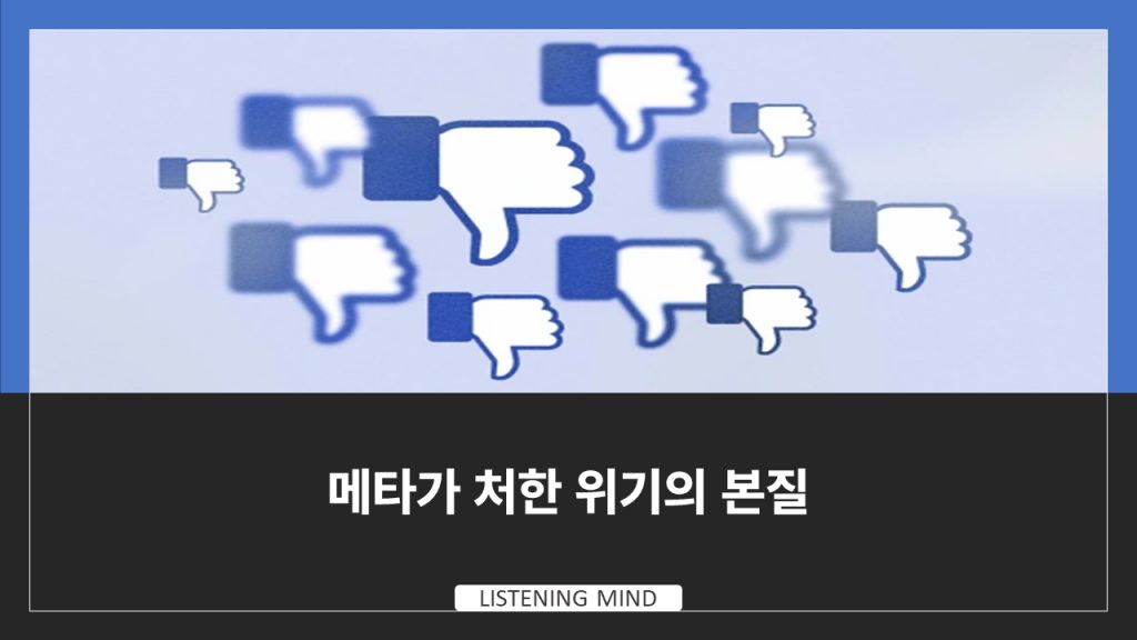 메타가 처한 위기의 본질