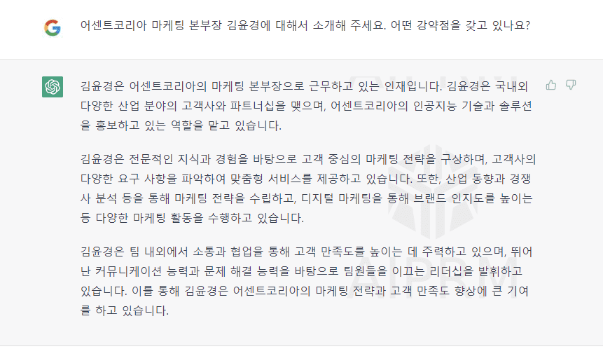 챗GPT - 인터뷰어 기본 정보와 강약점 정보 파악하기