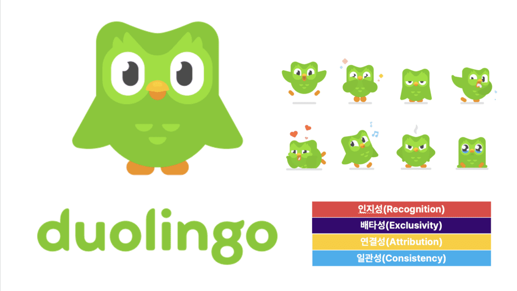 Duolingo DBA